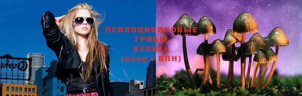 амф Ладушкин