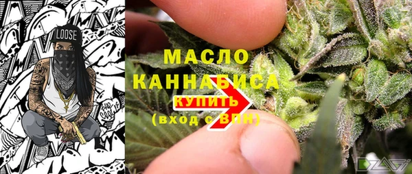 амф Ладушкин