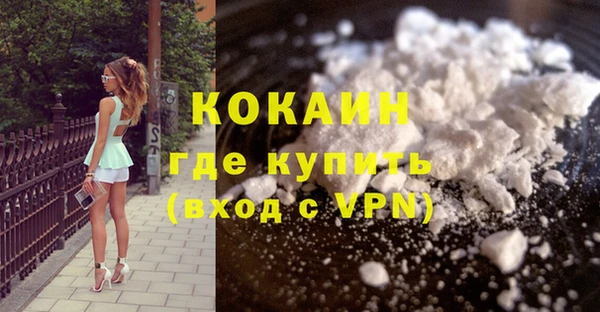 амф Ладушкин