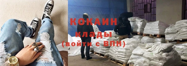 амф Ладушкин