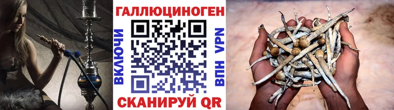 Галлюциногенные грибы Psilocybe Бавлы